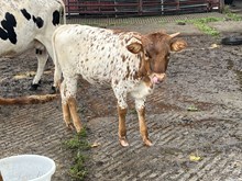 LTL Just A Bit Of Sass