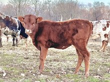 DFF Wonderful Bridgette