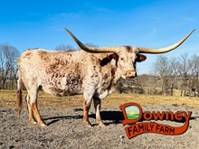 Lady Stetson DCR